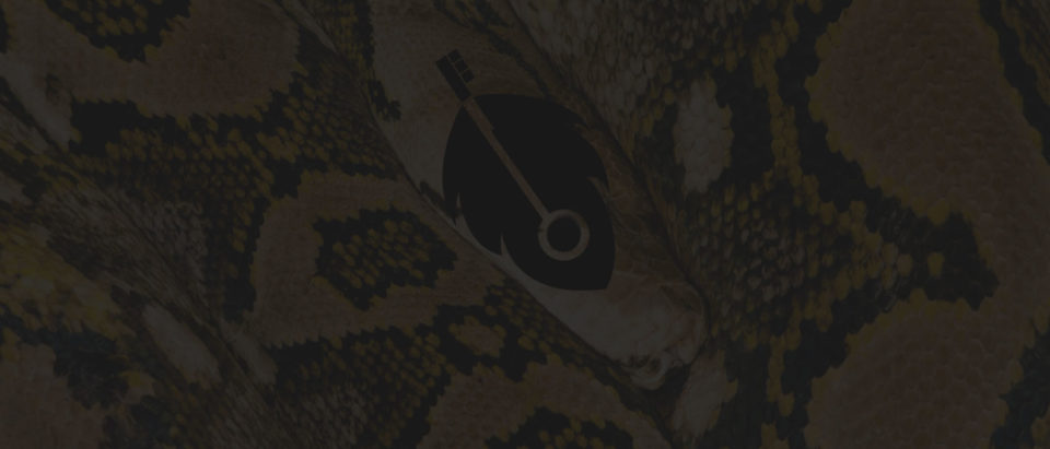 Paying for ongoing SEO services is digital snake oil (and stupid)